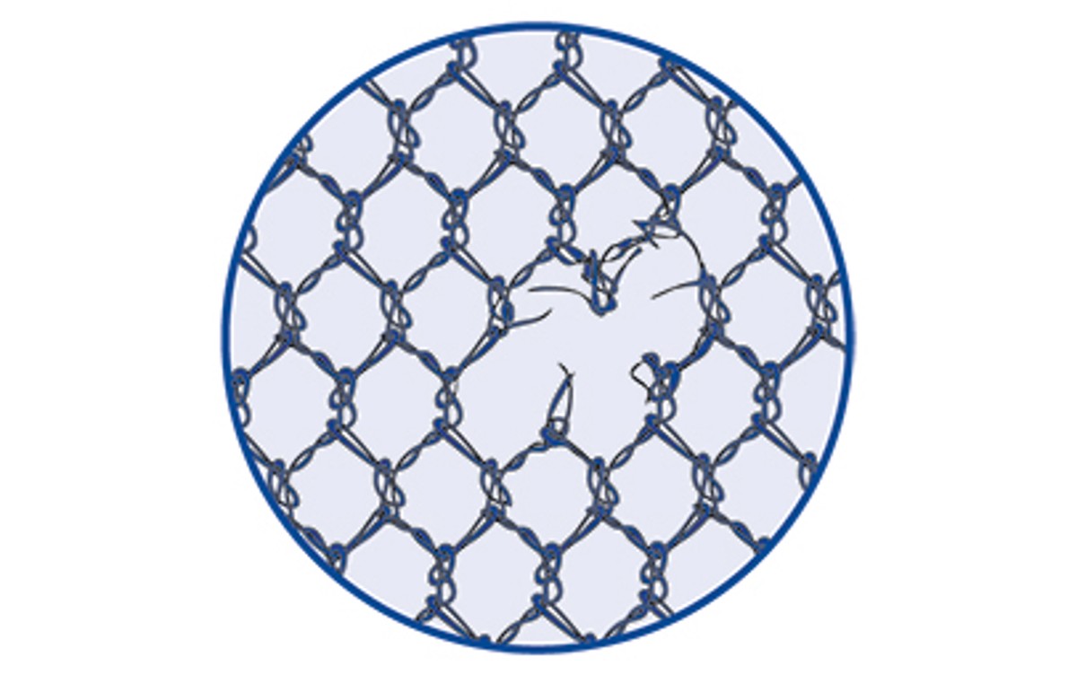 Material damage SCHMETZ_Schiffli_BeschaedigungNetz-1